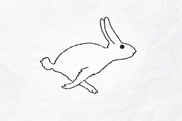 Качка чи кролик? Те, що ви побачили першим, розкриє вашу особистість