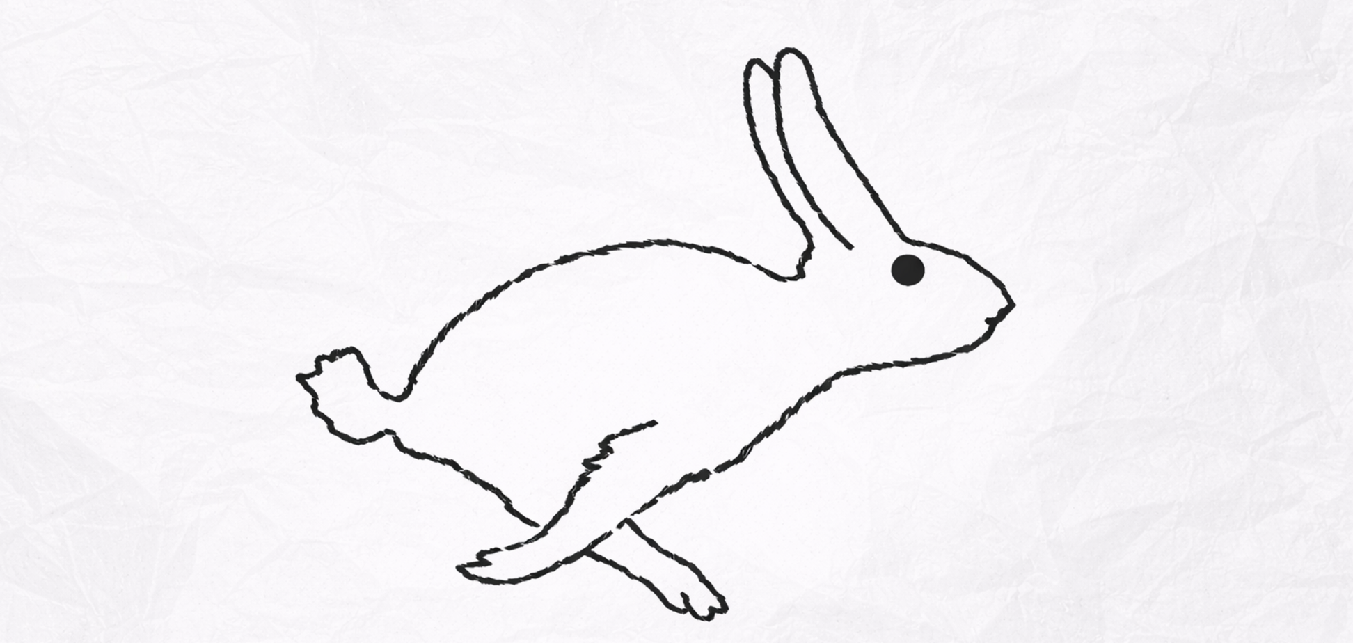 Утка или кролик? То, что вы увидели первым, раскроет вашу личность