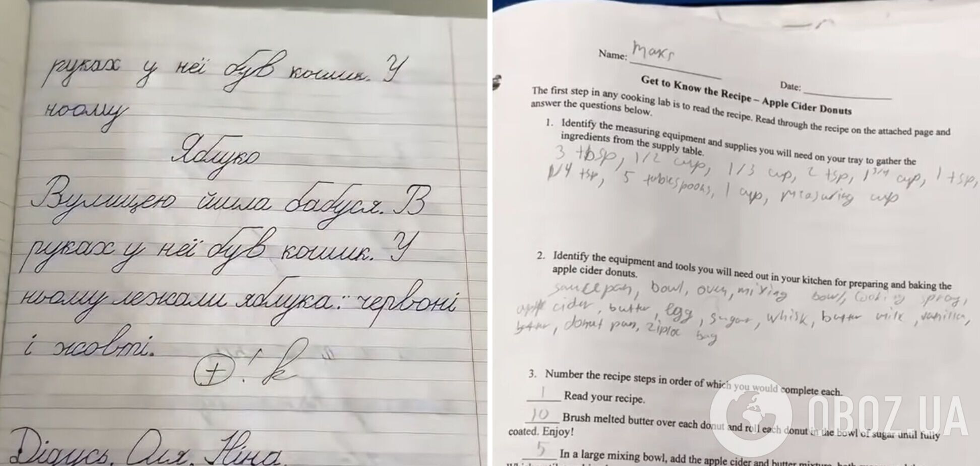 'Нас не писать учили, а быть тревожными. Люди с красивым почерком стоят на рынках'. В сети сравнили тетради школьников Украины и Канады