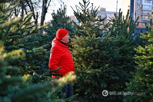 Продажа новогодних елок в Одессе, Украина, 2025 год. Иллюстрация