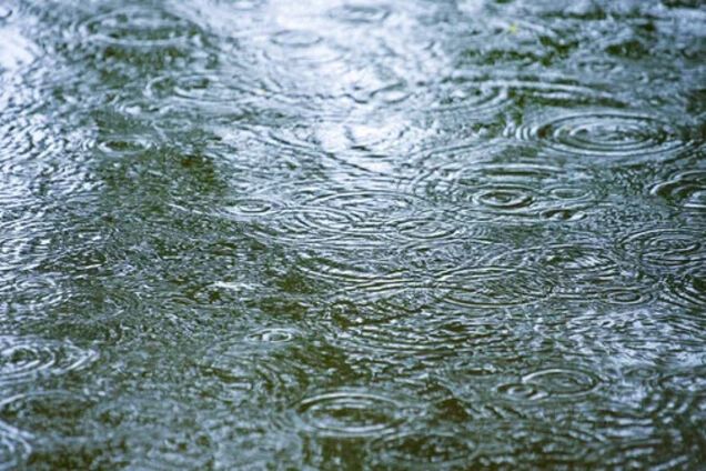 'Синоптична осінь триває': синоптикиня розповіла, якої погоди чекати в Україні. Карта