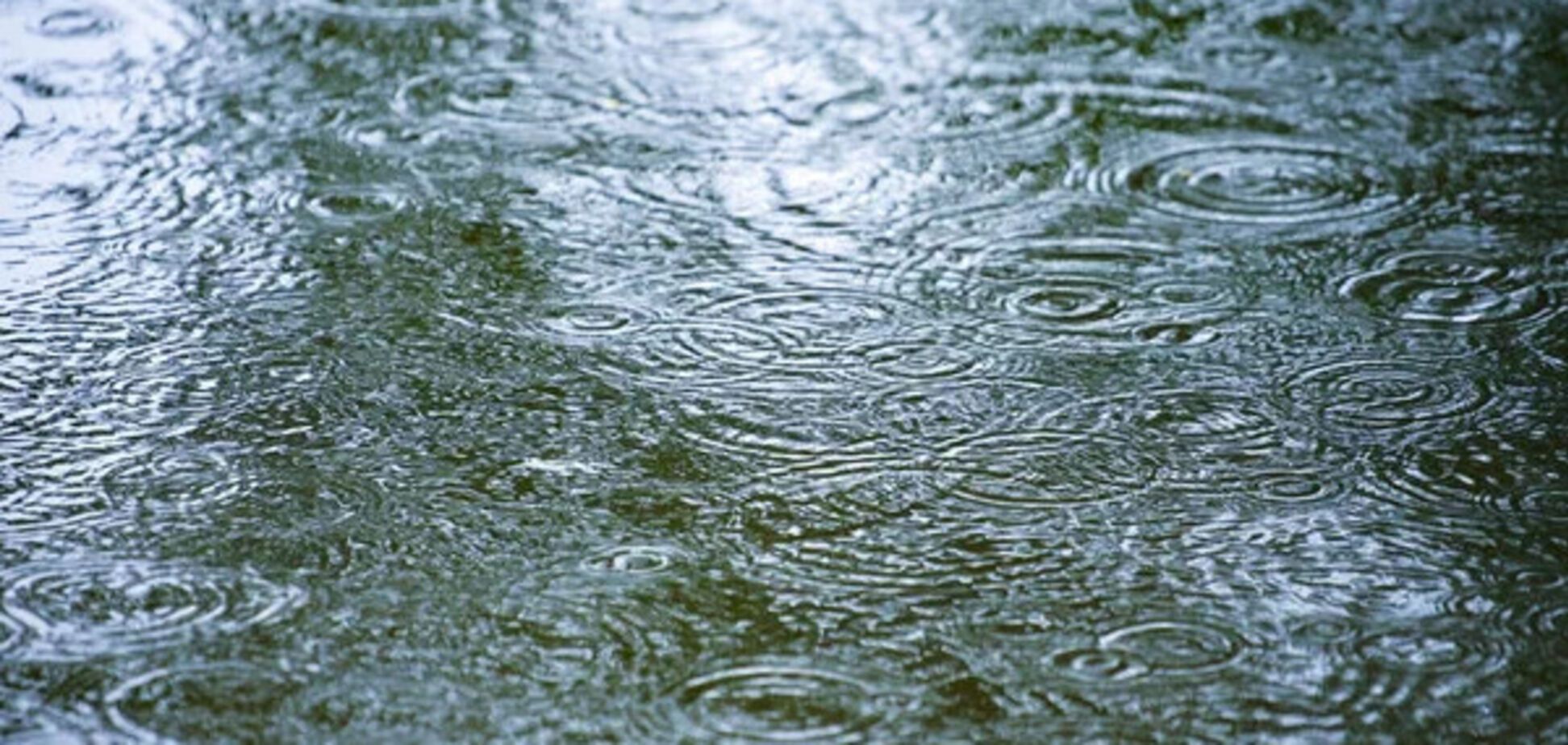 'Синоптична осінь триває': синоптикиня розповіла, якої погоди чекати в Україні. Карта