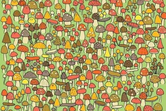 Знайдіть мишу: цікава головоломка, щоб перевірити вашу уважність