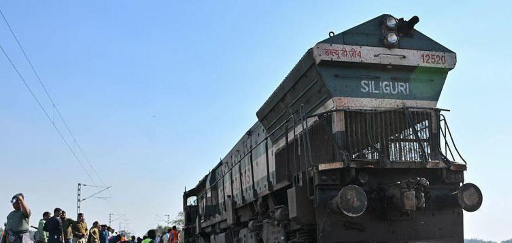 В Индии поезд сбил семерых слонов: машинист не заметил стада животных. Видео