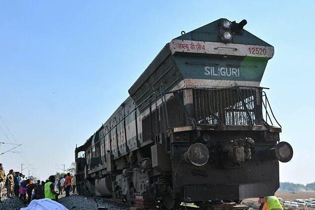 В Индии поезд сбил семерых слонов: машинист не заметил стада животных. Видео