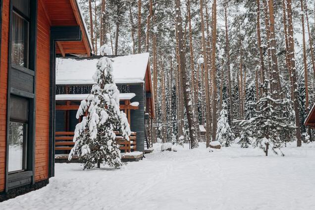 Чи будуть морози на Різдво: синоптик Діденко озвучила прогноз