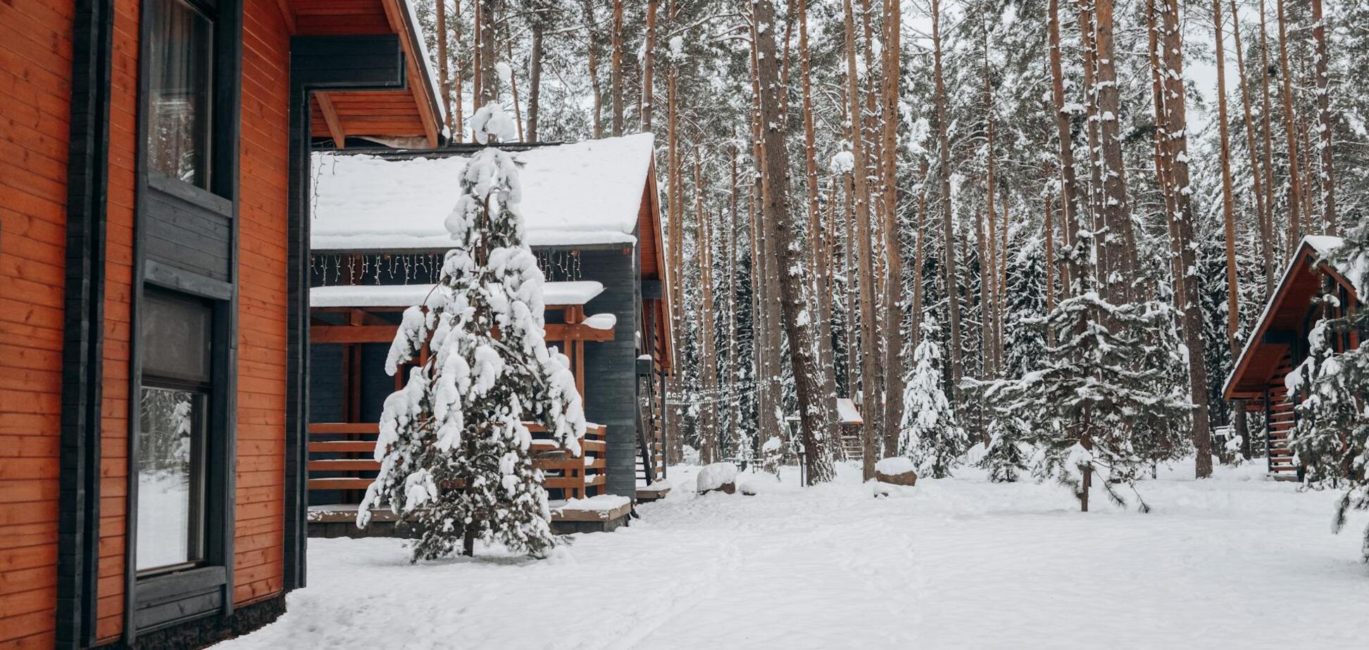 Чи будуть морози на Різдво: синоптик Діденко озвучила прогноз