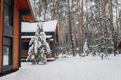 Будут ли морозы на Рождество: синоптик Диденко озвучила прогноз