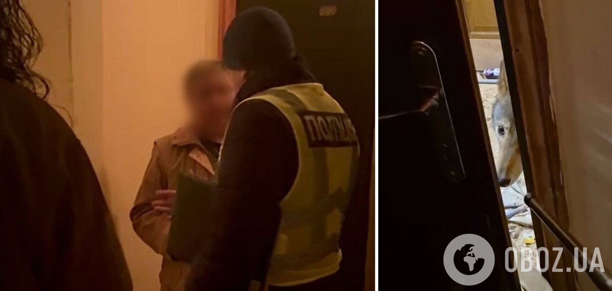 Нападение волка на женщину в Киеве: полиция нашла в квартире труп еще одного дикого животного. Подробности и фото