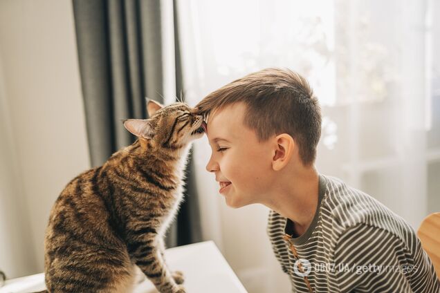 Как общаться с котом, чтобы он вас понимал: ученые нашли простой способ