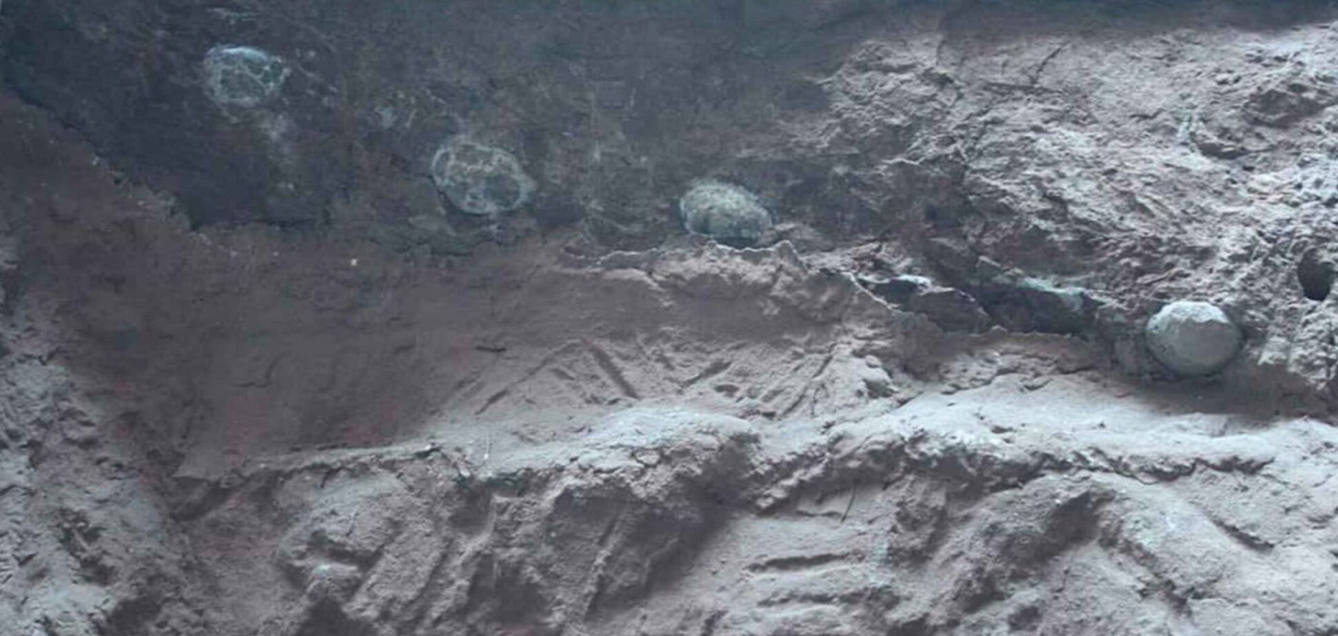 В Китае нашли яйца динозавров, с гигантскими кристаллами внутри: как это возможно