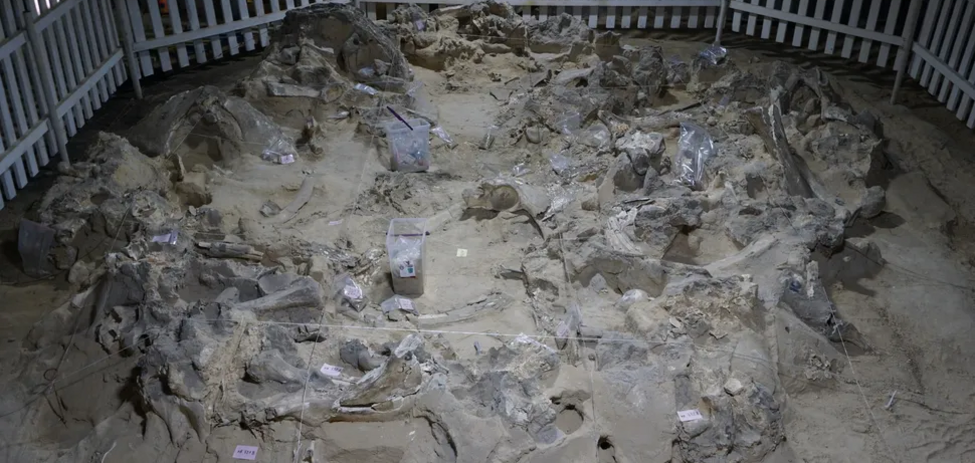 В Украине 18 тысяч лет назад строили жилища из костей мамонта: что узнали ученые. Фото