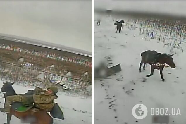 Окупанти ліквідовані, коні цілі: українські військові показали 'ювелірну' роботу на фронті. Відео