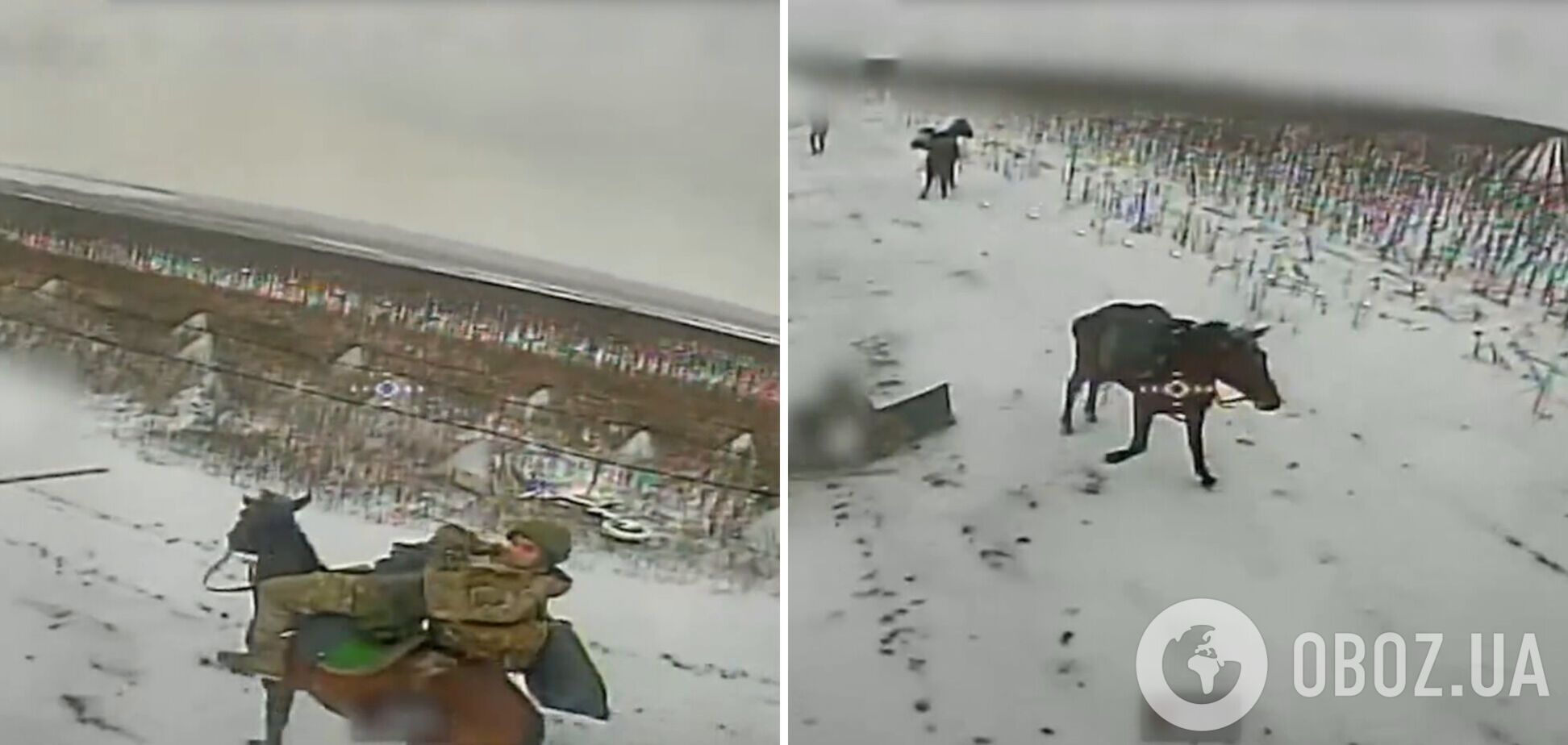 Оккупанты ликвидированы, лошади целы: украинские военные показали 'ювелирную' работу на фронте. Видео