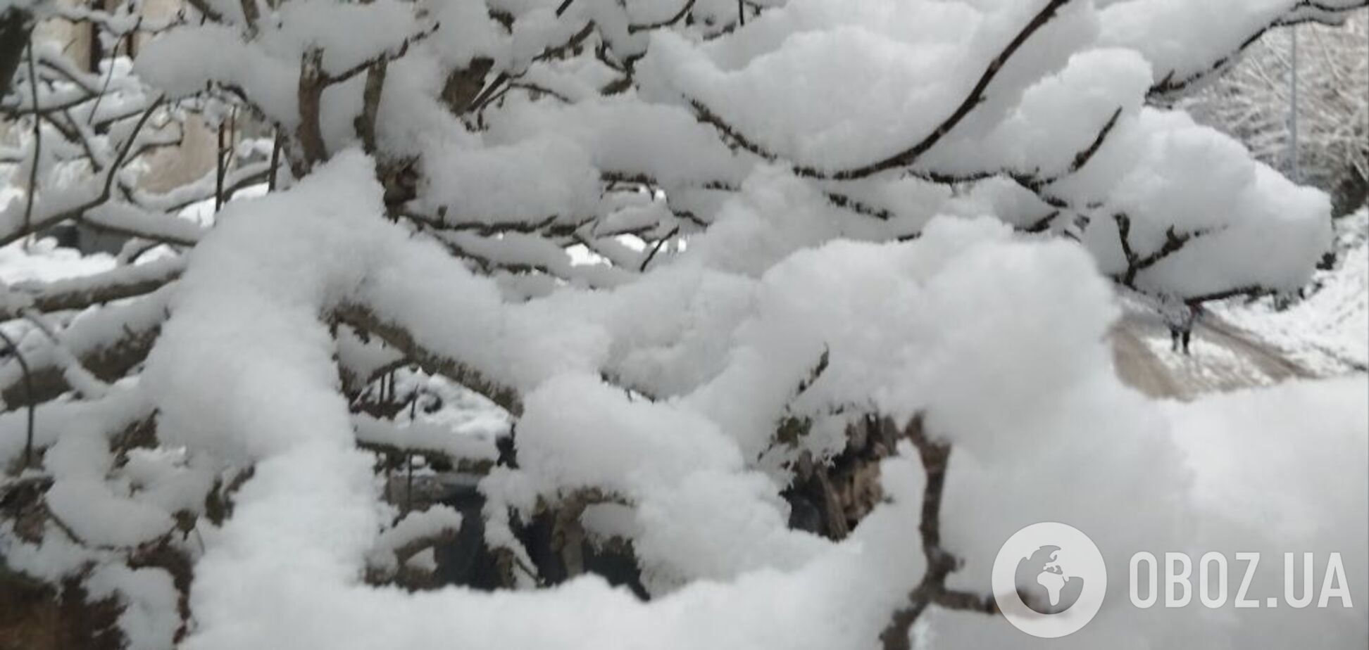 Гололедица, снег и шквальный ветер: синоптики предупредили о непогоде 28 декабря. Карта