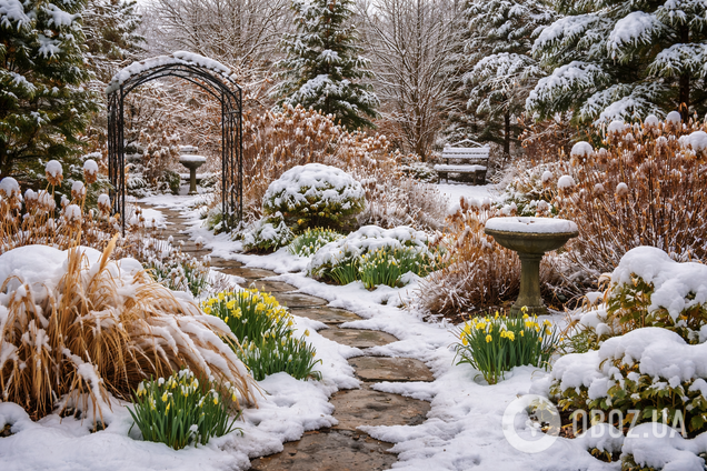 Як відновити сад після сильних морозів і снігопадів: поради експертів