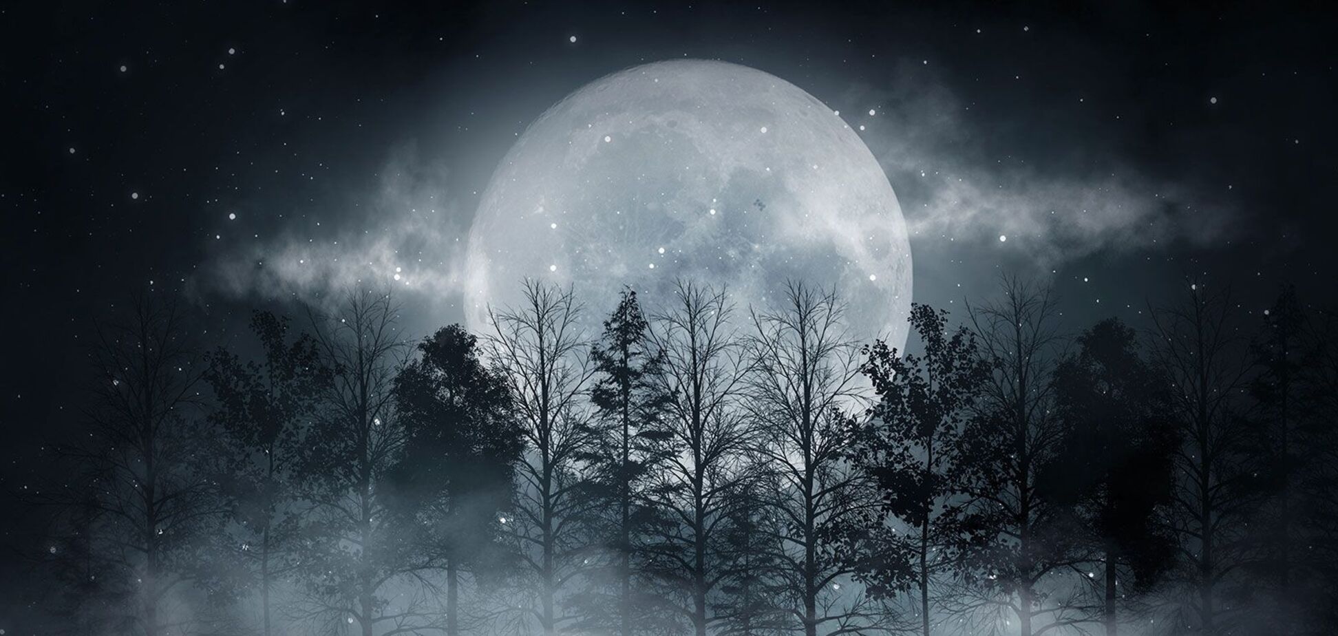 Над Україною у ніч на 5 грудня зійде остання цього року суперповня: що потрібно знати