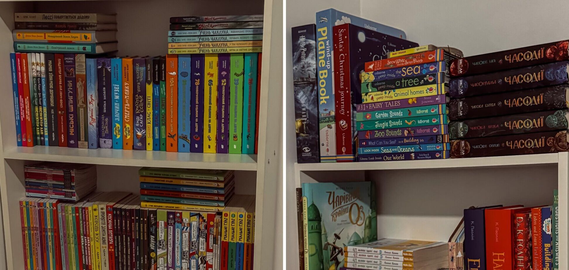 Українка показала бібліотеку 7-річного сина і вразила мережу: хлопчик самостійно читає з чотирьох років. Фото