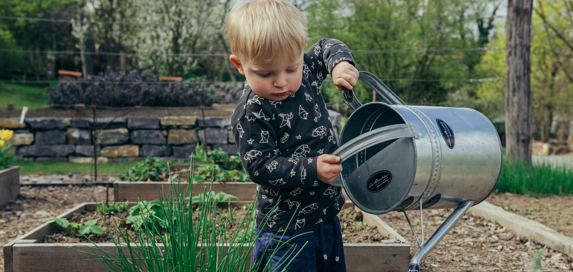 Як перетворити харчові відходи на 'садове золото': поради для компостування