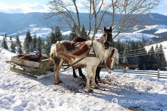 Морозы до 18 градусов: синоптики предупредили о 'сюрпризах' зимой в Украине