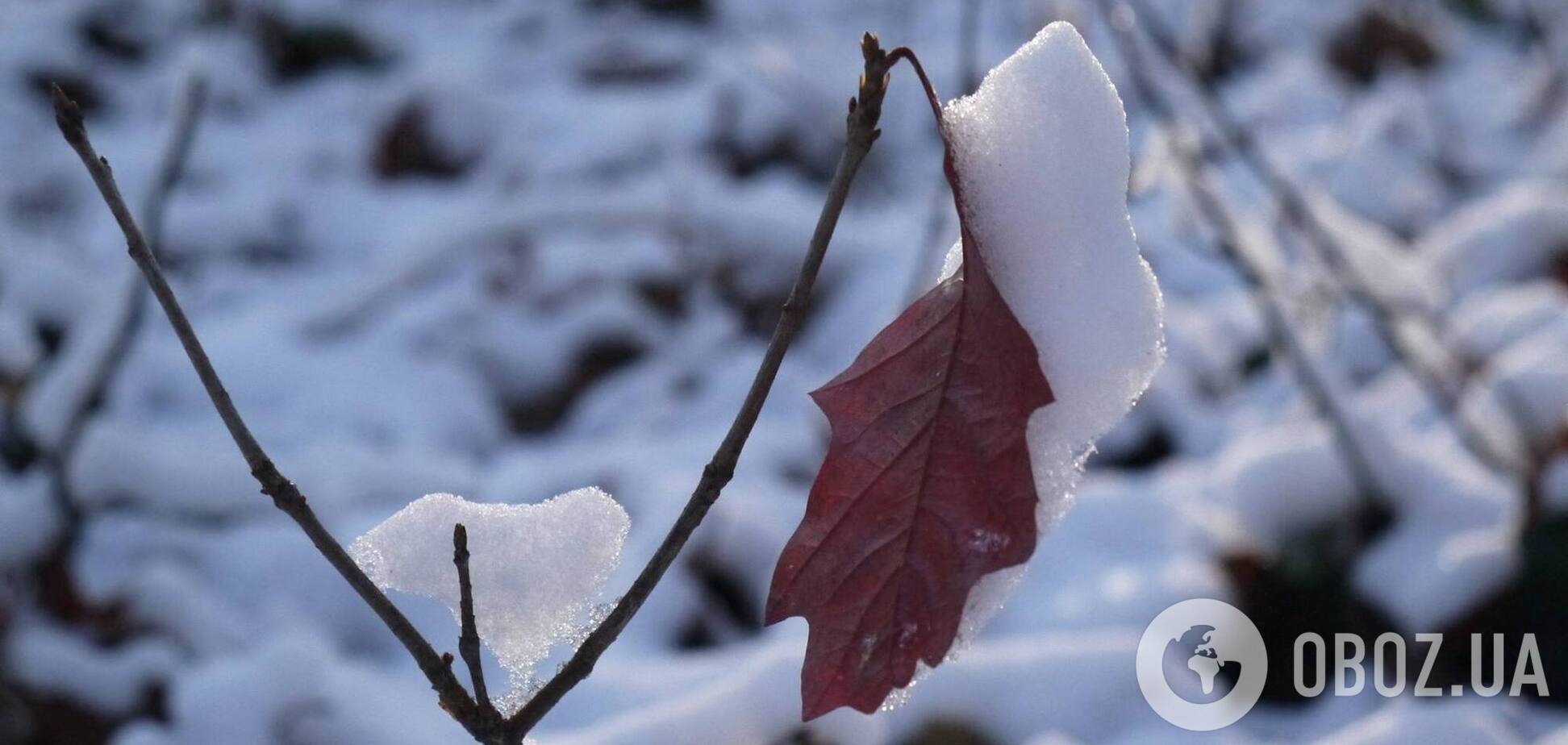 Місцями сніг та до 7°С морозу: детальний прогноз погоди по Київщині в останній день 2025 року