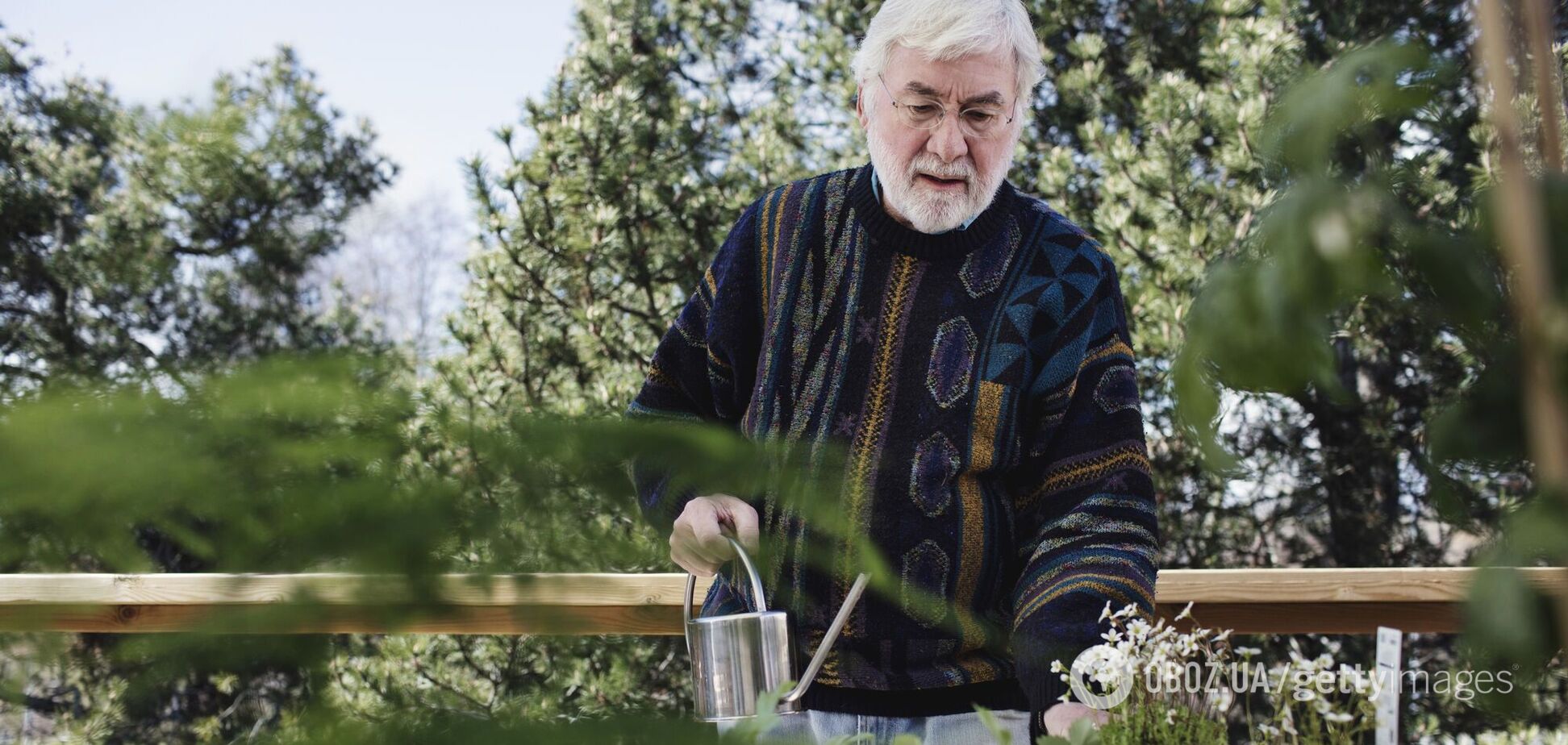 Посівний календар на січень: що можна зробити у перший місяць року