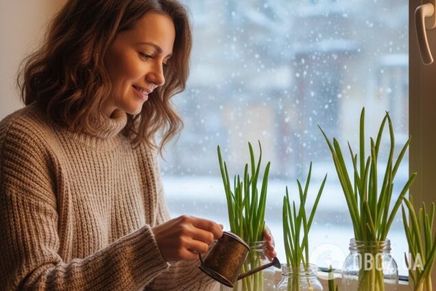 Як вирощувати зелену цибулю вдома весь рік: важливі моменти