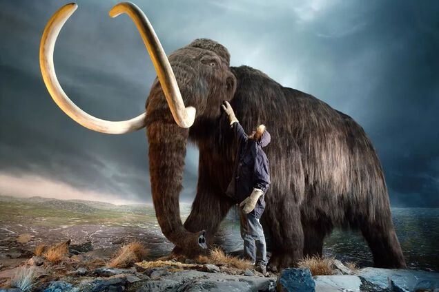 Мамонти допомогли людям на території України пережити льодовиковий період, – археологи