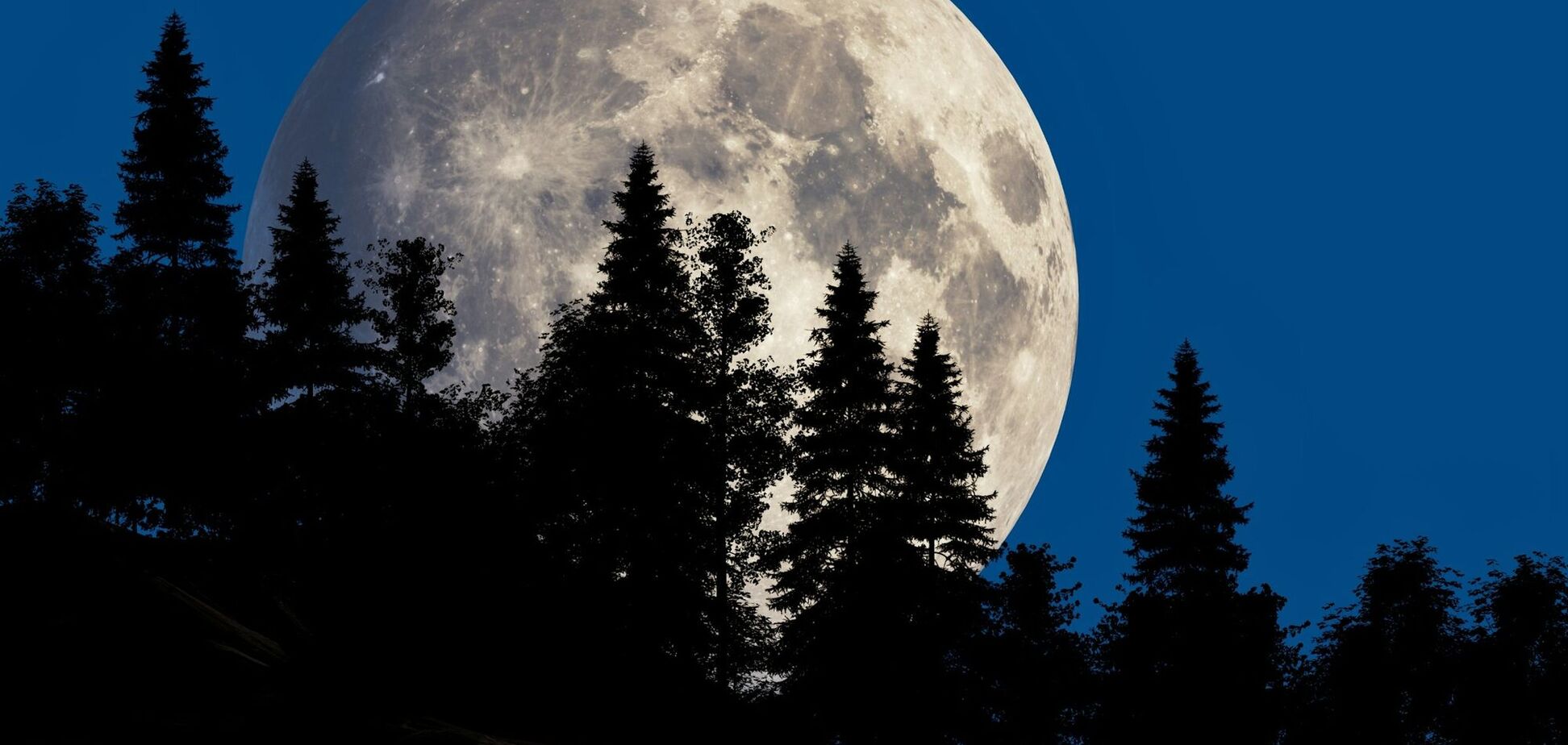 Когда будет последнее Суперлуние в 2025 году: точная дата