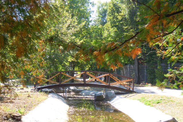 Старые фото Черкасс: каким город был раньше