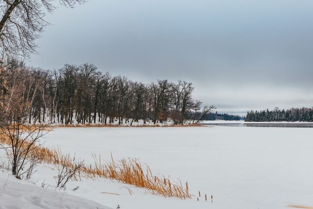 Какой праздник отмечают 8 декабря: все об этом дне