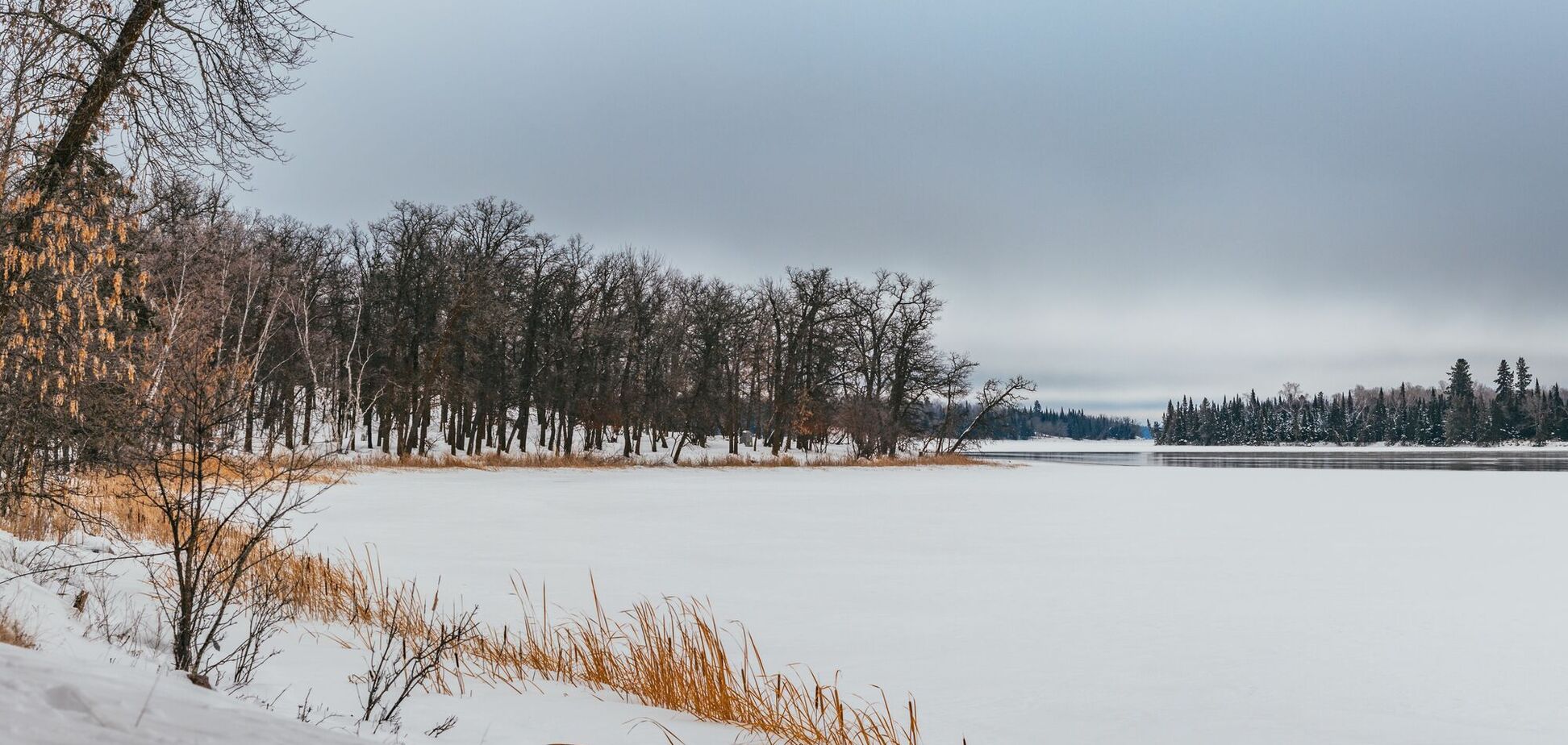 Какой праздник отмечают 8 декабря: все об этом дне