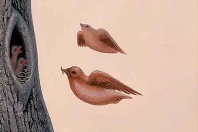 Те, що ви побачити першим розкриє потаємні бажання: візуальний тест на особистість