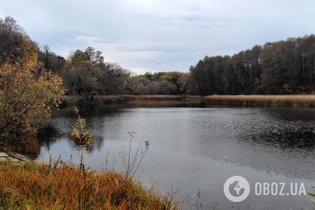 Без опадів та до +6°С: детальний прогноз погоди по Київщині на 7 грудня