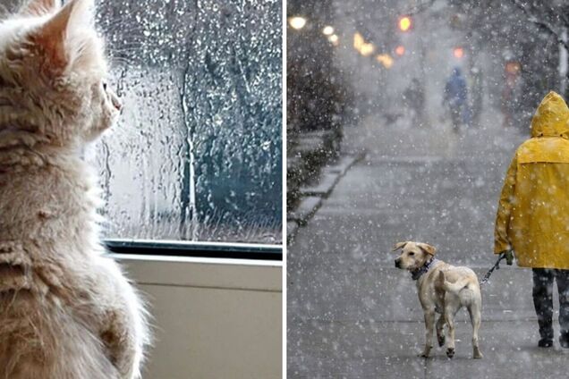 Частину України накриє мокрий сніг: синоптикиня попередила про погіршення погоди. Карта