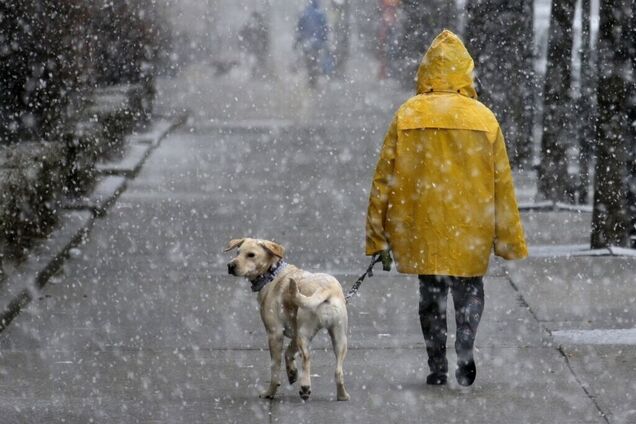 Частину України накриє мокрий сніг: синоптикиня попередила про погіршення погоди. Карта