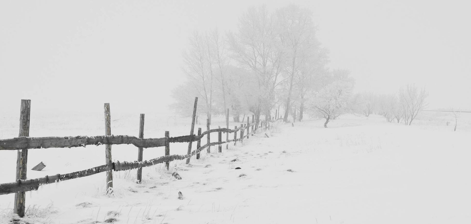 Яке свято відзначають 11 грудня: все про цей день