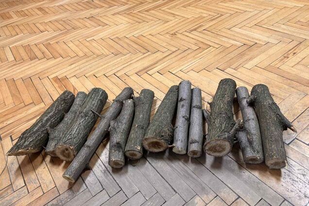 У Дніпрі виконавча служба вилучила 12 палок акації