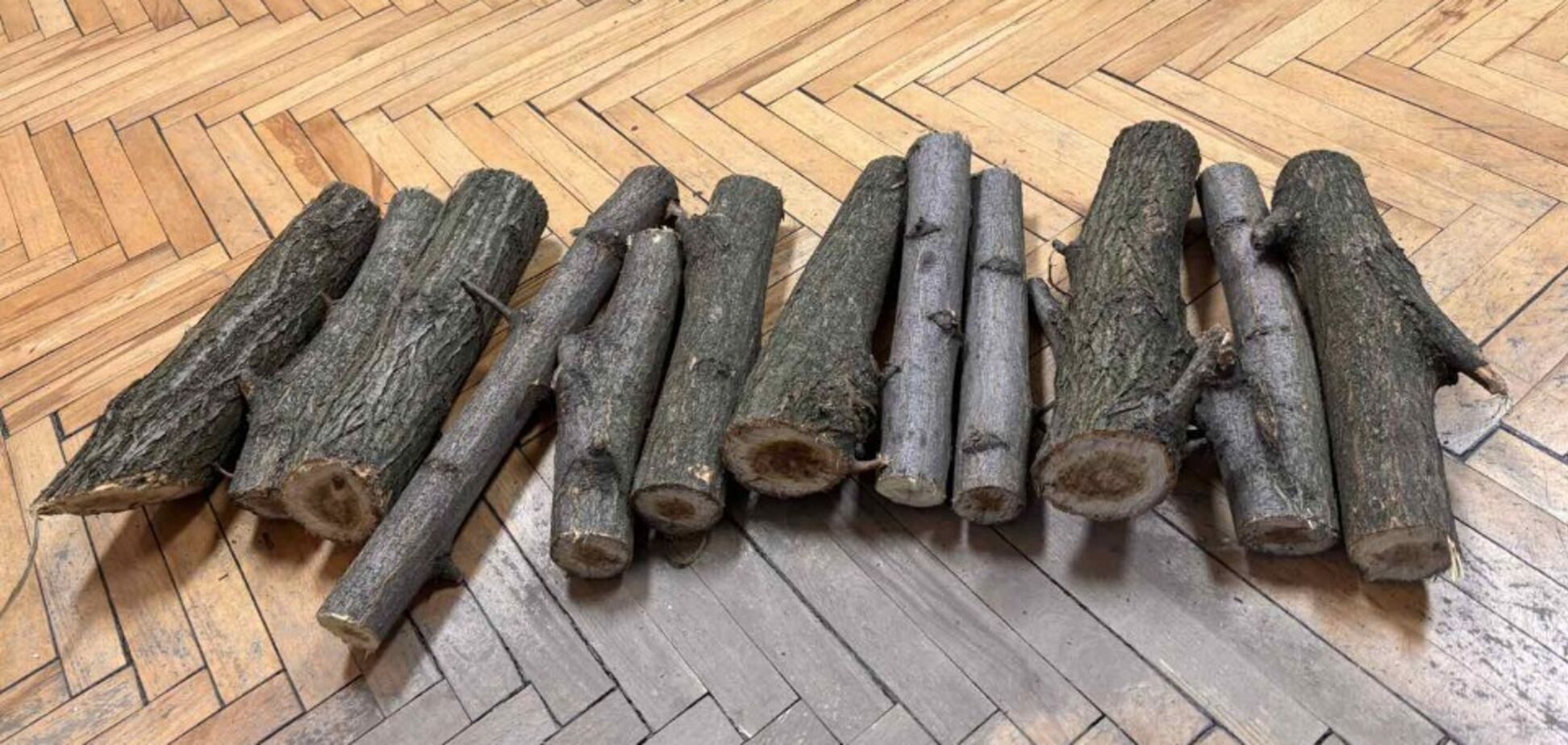 У Дніпрі виконавча служба вилучила 12 палок акації