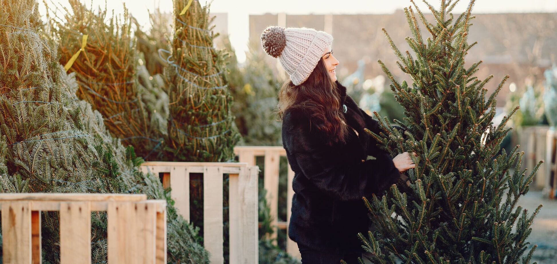Де не можна ставити живу ялинку: швидко обсиплеться