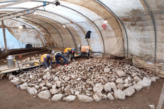 У Швейцарії знайшли курган, що належав видатній особі. Фото