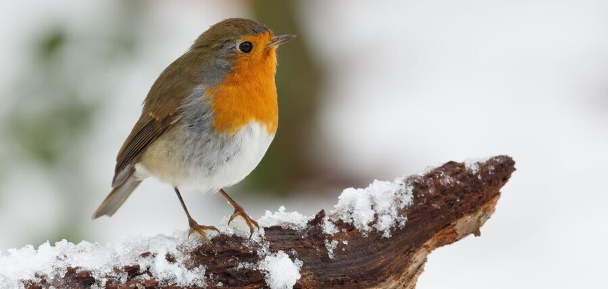 Україна у полоні високого атмосферного тиску: синоптики сказали, як довго протримаються морози