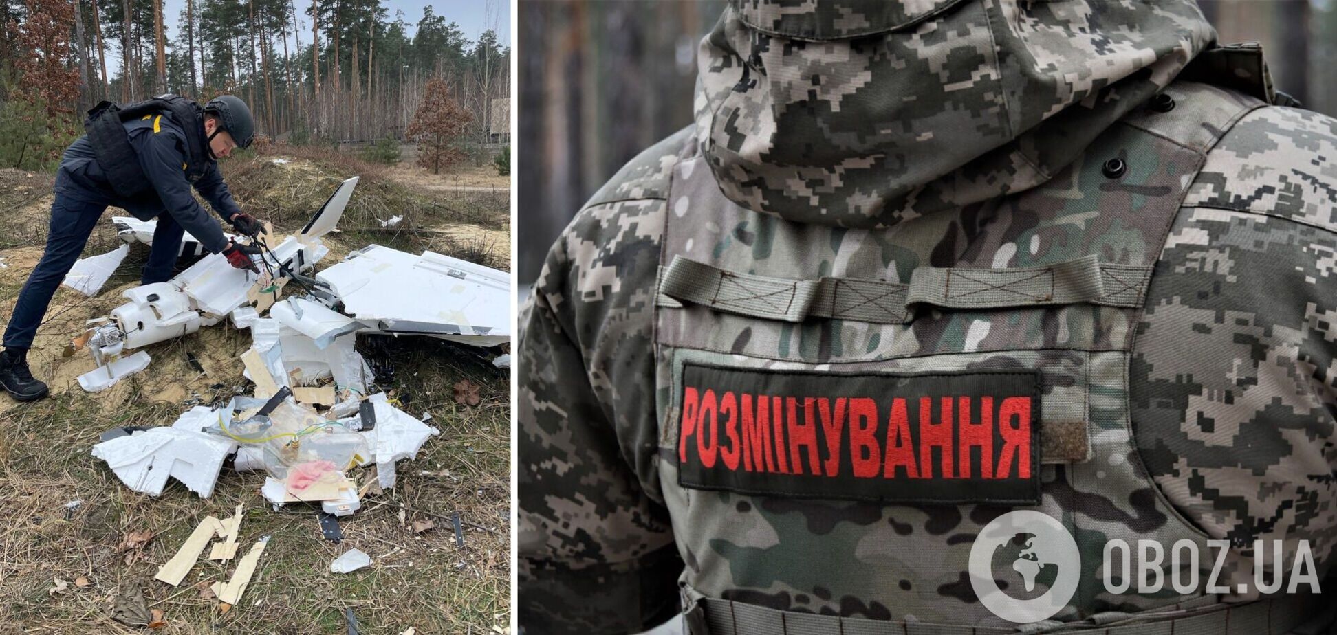 В одном из районов Киевщины обнаружили обломки российского БпЛА 'Гербера'. Подробности и фото