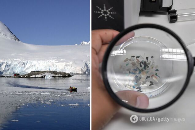 Уперше в історії. Вчені знайшли мікропластик у найвіддаленіших регіонах Антарктиди