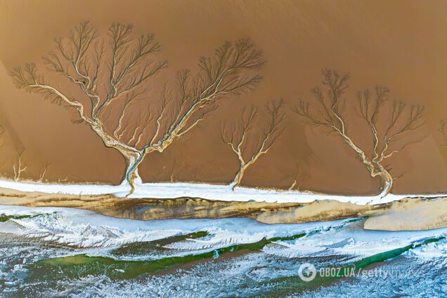 На замерзшей реке в Китае образовались гигантские 'деревья': невероятное природное явление показали на фото