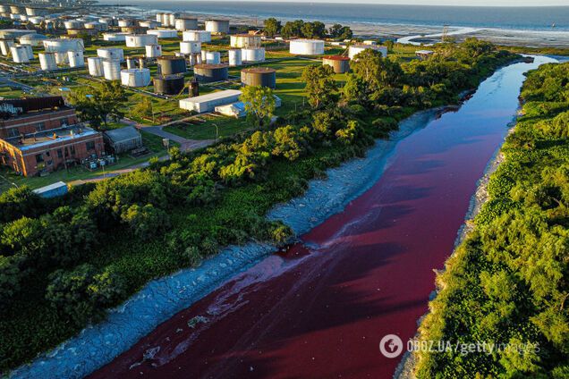 Река возле Буэнос-Айреса окрасилась в кроваво-красный цвет и испугала жителей. Фото, видео