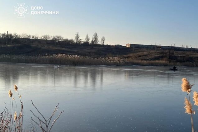 'Любой добрый поступок меняет мир к лучшему': в Донецкой области спасатели освободили лебедей из ледяной ловушки. Фото