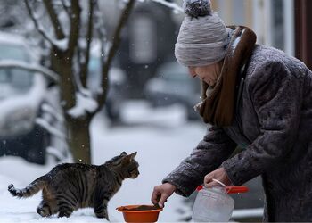 Ожидается интенсивное падение атмосферного давления: синоптики предупредили метеозависимых людей о последствиях