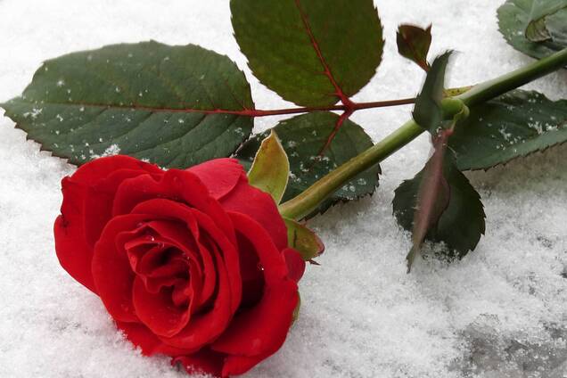 Погода в Україні різко зміниться на День закоханих: у Гідрометцентрі здивували прогнозом