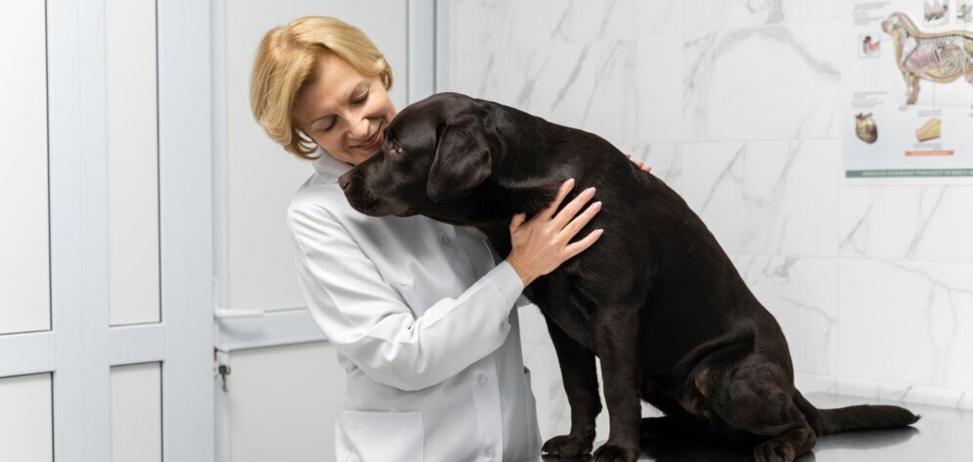 Ветеринары назвали симптомы-'красные флажки' у собак и кошек: стоит сразу идти к врачу